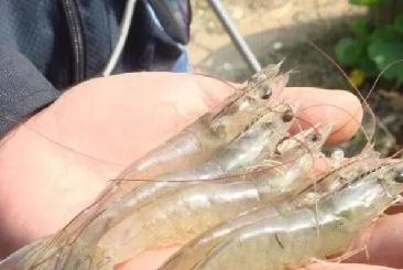 �}�A�ء�׃�U�錚��,�~�r�B(y��ng)ֳ�ɞ�F(xi��n)��